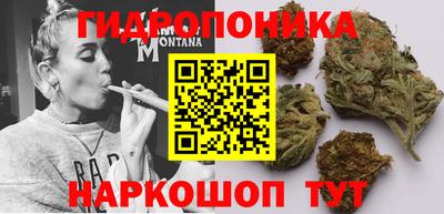 экстази Гатчина