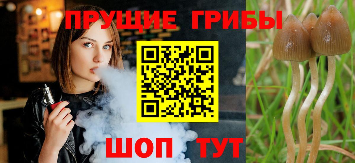 Псилоцибиновые грибы Cubensis Новый Уренгой